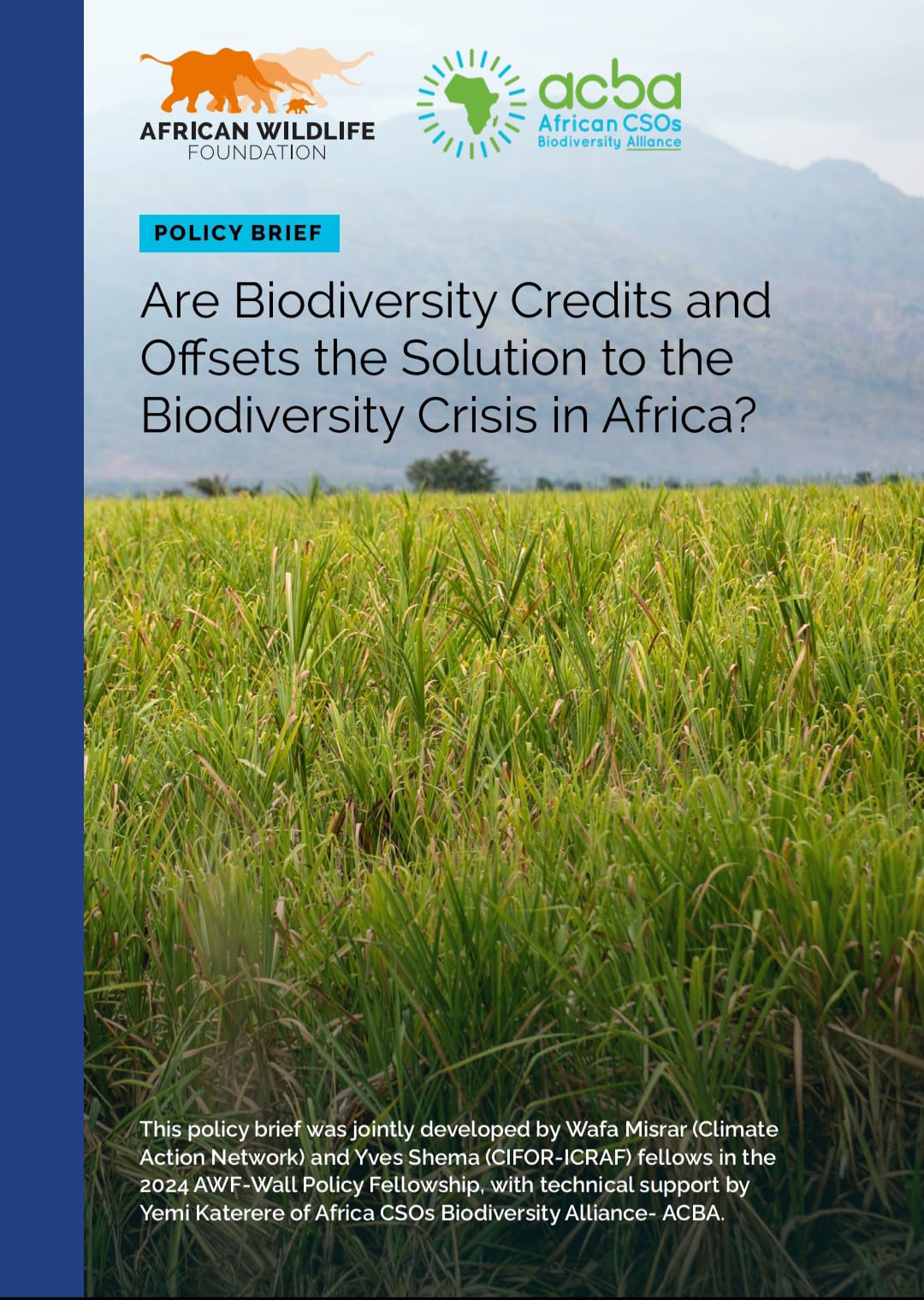 Are Biodiversity Credits and Offsets the Solution to the Biodiversity Crisis in Africa? image